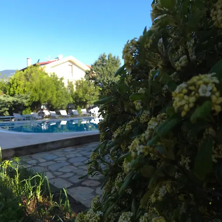 Ξενοδοχείο Angels Garden