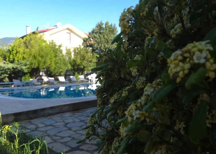 Hotel Angels Garden